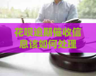 白条逾期信息该如何处理