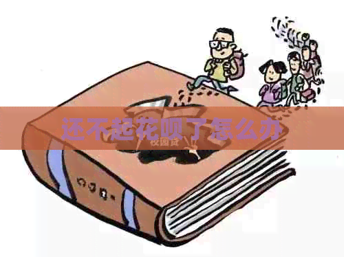 还不起白条了怎么办