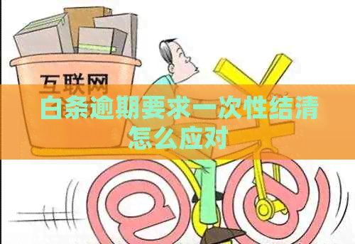 白条逾期要求一次性结清怎么应对