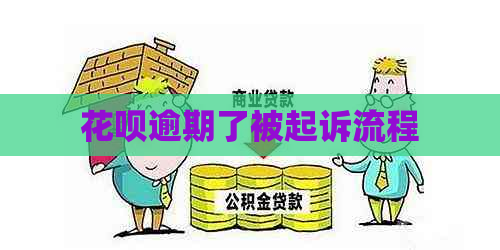 白条逾期了被起诉流程