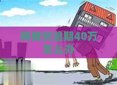 白条贷逾期40万怎么办
