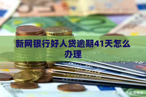 新网银行好人贷逾期41天怎么办理