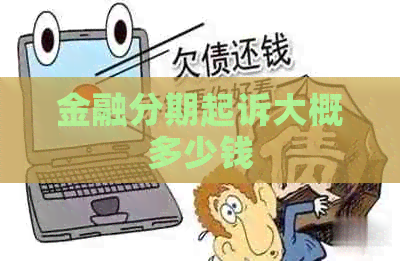 金融分期起诉大概多少钱