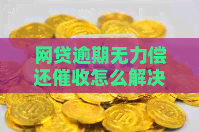 网贷逾期无力偿还怎么解决
