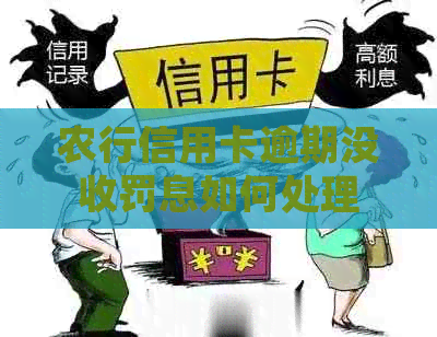 农行信用卡逾期没收罚息如何处理