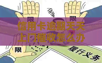 信用卡逾期天天上门怎么办
