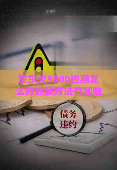 京东欠5000逾期怎么办还款方法有哪些