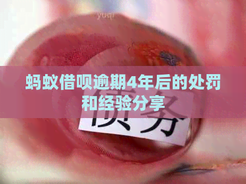 蚂蚁信用卡逾期4年后的处罚和经验分享