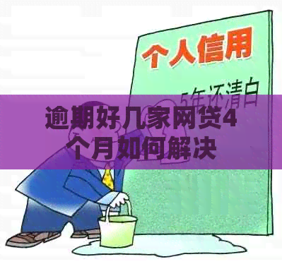 逾期好几家网贷4个月如何解决