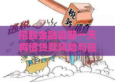 招联金融逾期一天再借贷款风险与应对策略