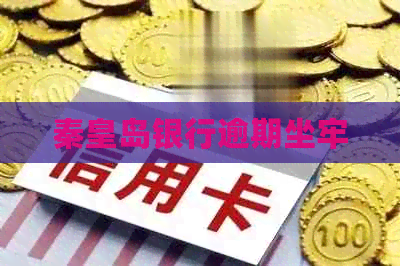秦皇岛银行逾期坐牢
