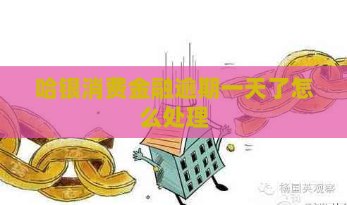 哈银消费金融逾期一天了怎么处理