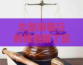 欠渤海银行的钱逾期了应该怎么处理