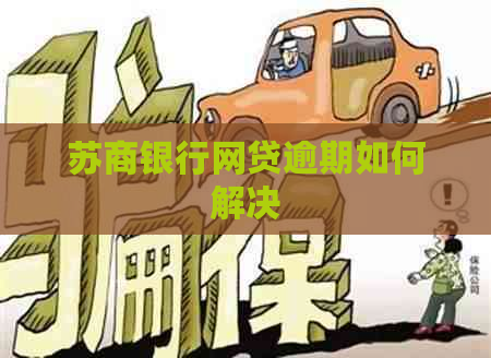 苏商银行网贷逾期如何解决