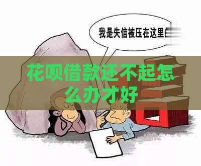 白条借款还不起怎么办才好