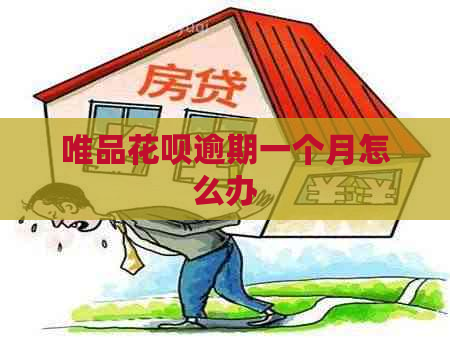 唯品白条逾期一个月怎么办