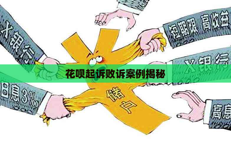白条起诉败诉案例揭秘