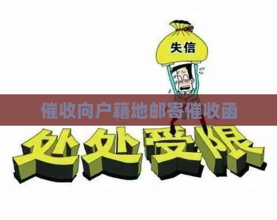 向户籍地邮寄函