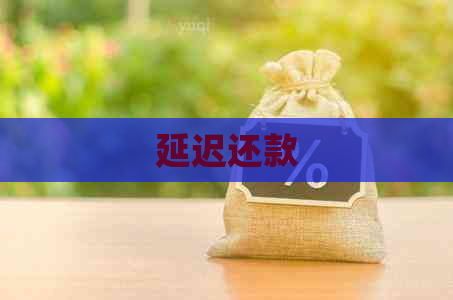 延迟还款