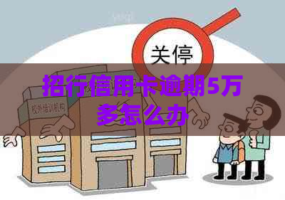 招行信用卡逾期5万多怎么办