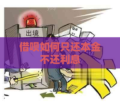 信用卡如何只还本金不还利息