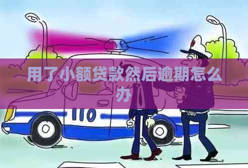 用了小额贷款然后逾期怎么办