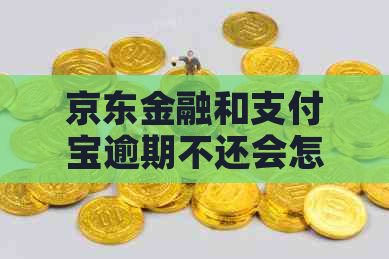 京东金融和信用卡逾期不还会怎么样