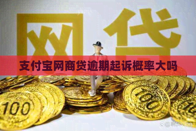 信用卡白条贷逾期起诉概率大吗