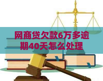 白条贷欠款6万多逾期40天怎么处理