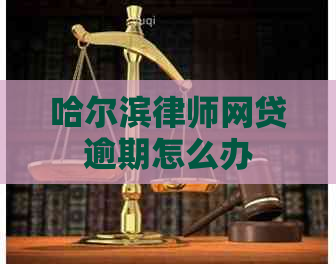 哈尔滨律师网贷逾期怎么办