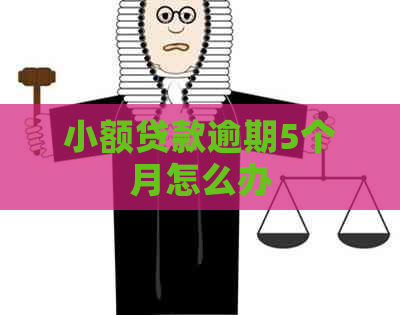 小额贷款逾期5个月怎么办