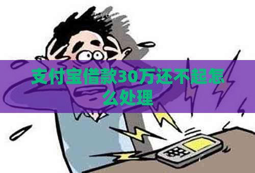信用卡借款30万还不起怎么处理