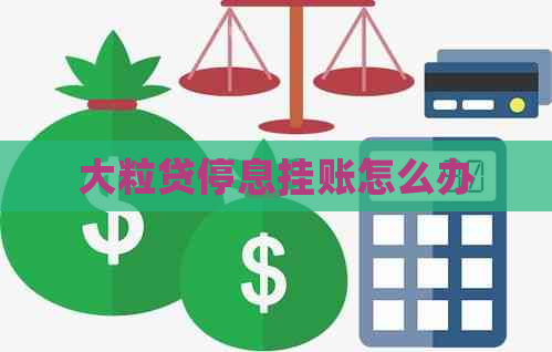 大粒贷停息挂账怎么办