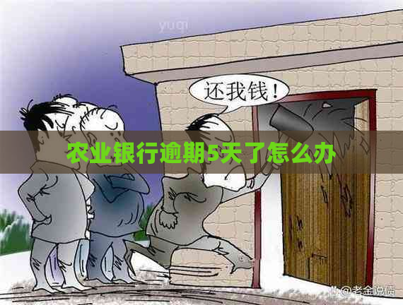 农业银行逾期5天了怎么办