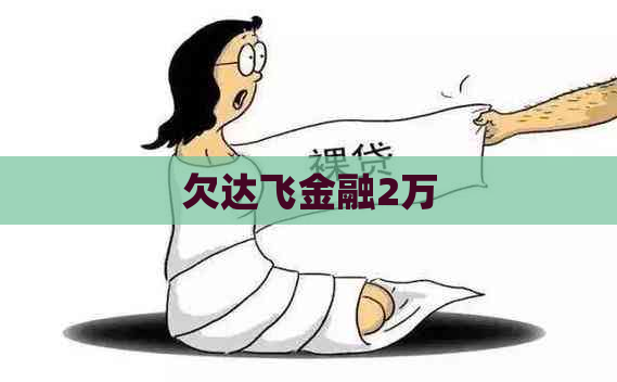 欠达飞金融2万