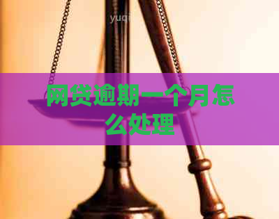 网贷逾期一个月怎么处理