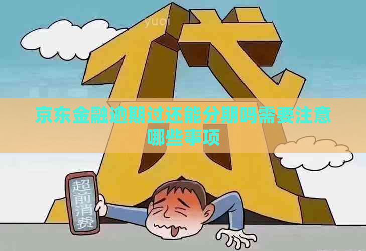 京东金融逾期过还能分期吗需要注意哪些事项
