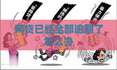 网贷已经全部逾期了怎么办