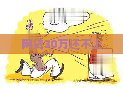网贷30万还不上