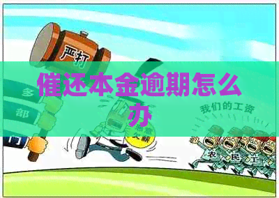 催还本金逾期怎么办