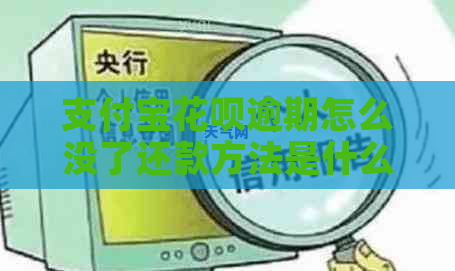 信用卡白条逾期怎么没了还款方法是什么