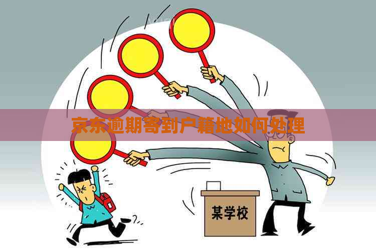 京东逾期寄到户籍地如何处理