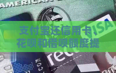 支付宝还信用卡、信用卡和网贷额度提升：详细攻略与操作步骤