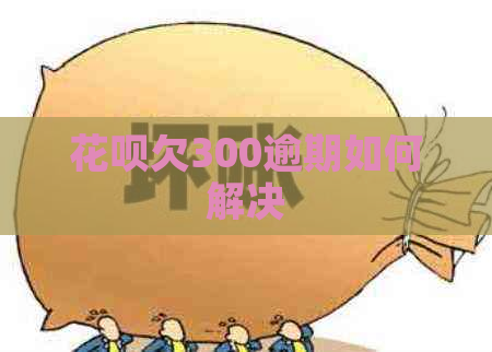 白条欠300逾期如何解决