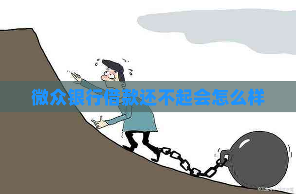 微众银行借款还不起会怎么样