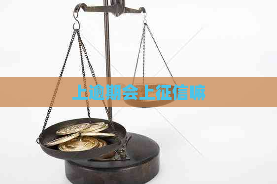 上逾期会上嘛