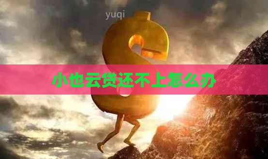小也云贷还不上怎么办