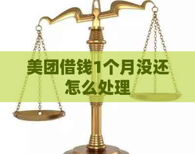 美团借钱1个月没还怎么处理