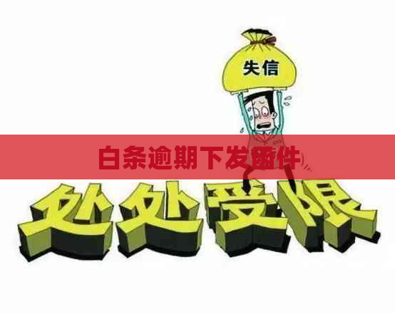 白条逾期下发函件