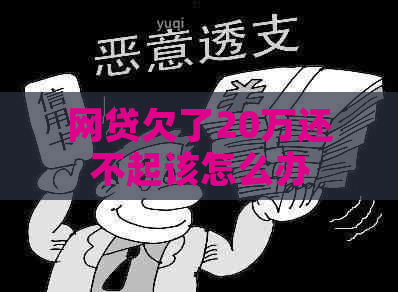 网贷欠了20万还不起该怎么办